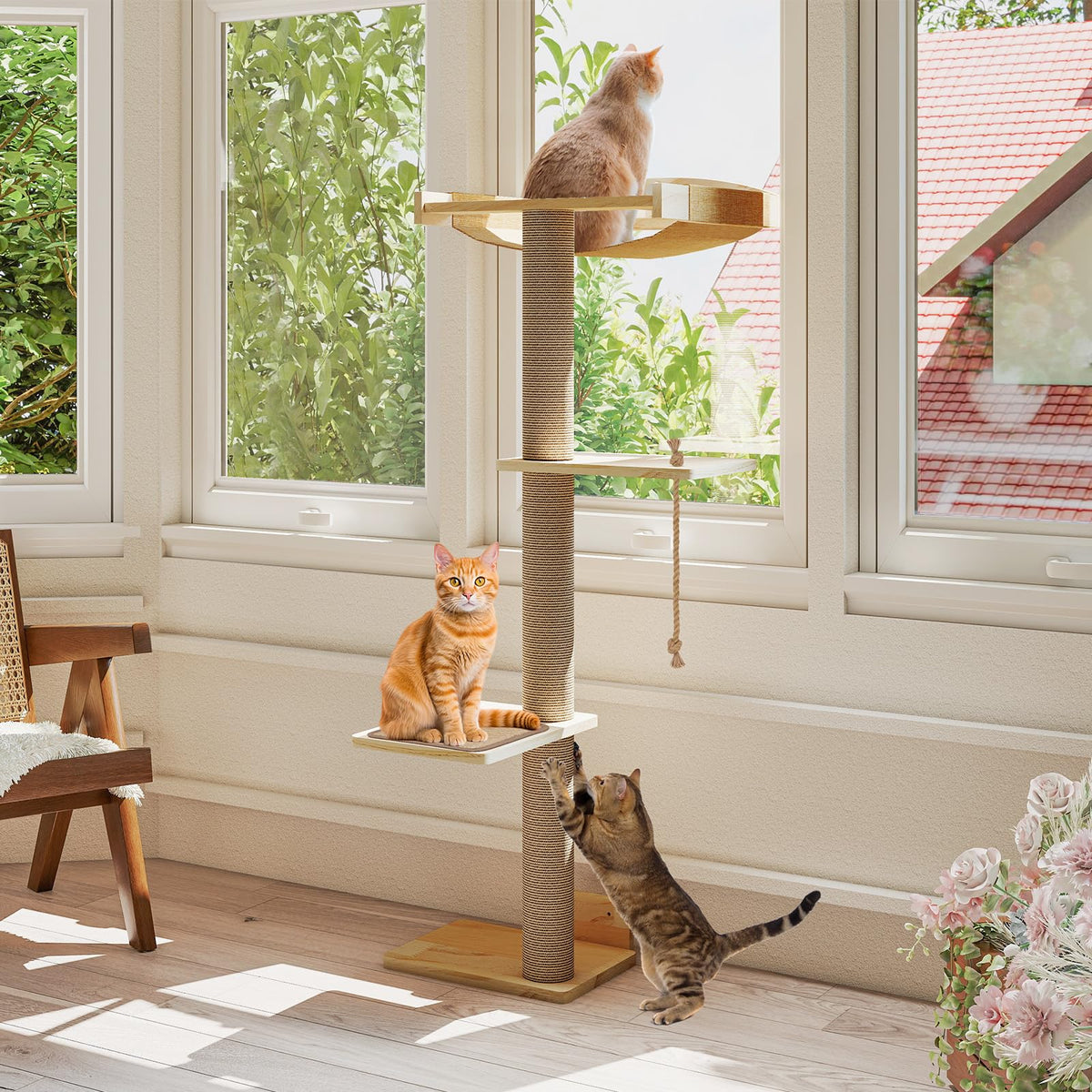 Cat Trees And Perches
